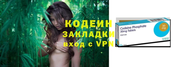молекула духа Пересвет