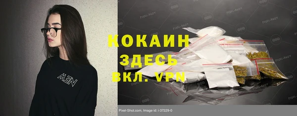 молекула духа Пересвет
