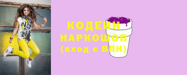 молекула духа Пересвет