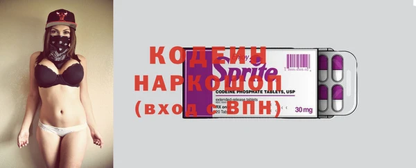 молекула духа Пересвет
