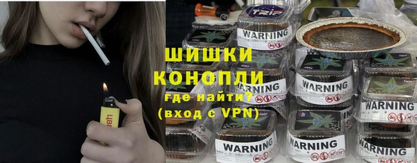 молекула духа Пересвет